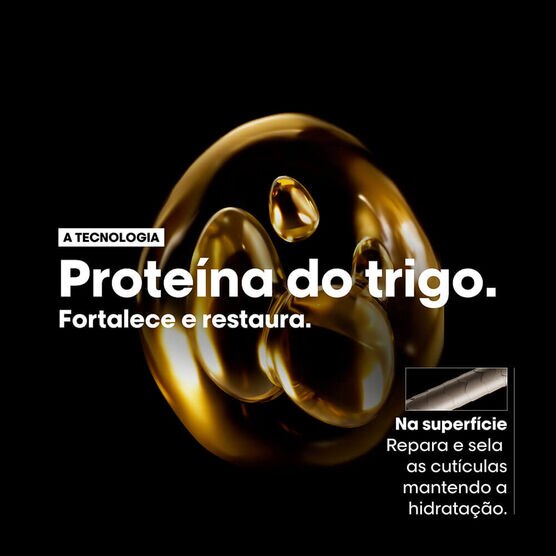 Kit L'Or&eacute;al Professionnel Absolut Repair